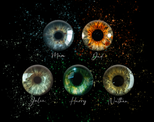 Family Iris Portrait – Personalised Wall Art of your Eyes
