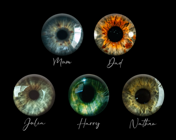 Family Iris Portrait – Personalised Wall Art of your Eyes - Image 5